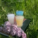 Wódka, nalewka, okowita, destylat – co różni te pojęcia?