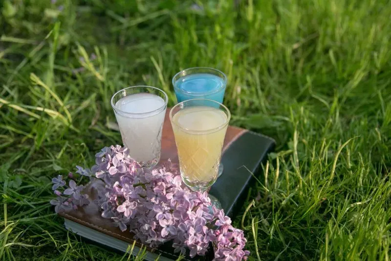 Wódka, nalewka, okowita, destylat – co różni te pojęcia?